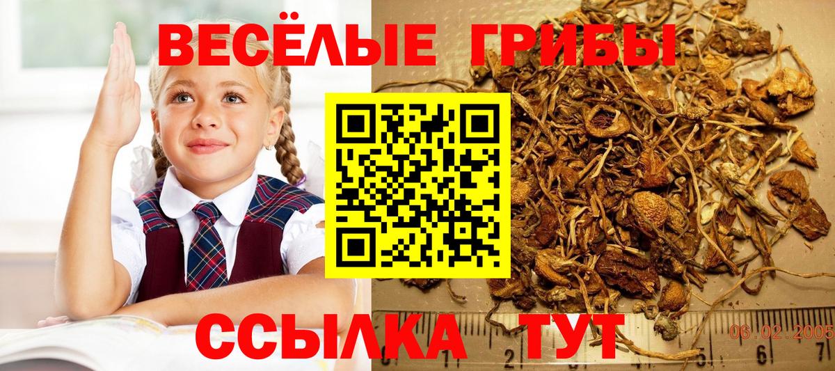 Ростов-на-Дону  Галлюциногенные грибы мицелий  Вход с VPN  Псилоцибиновые грибы мухоморы 